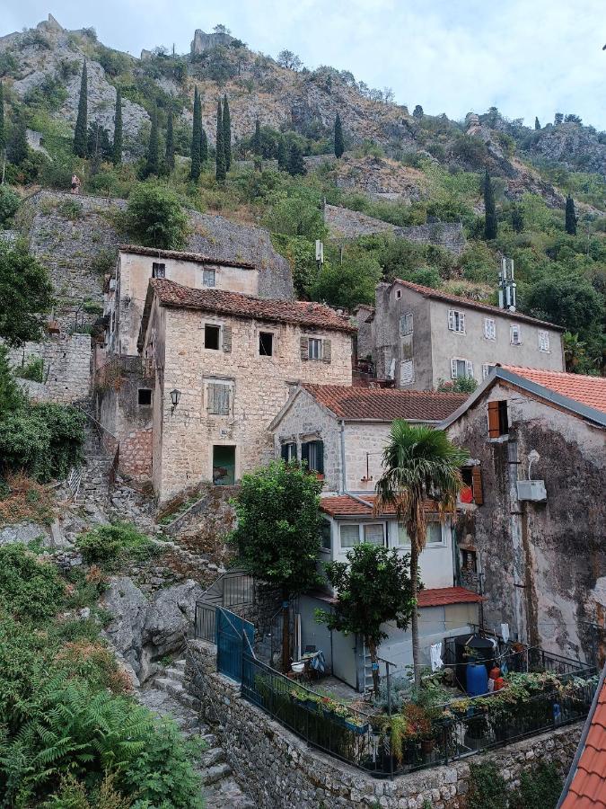 Guesthouse Bit Accommodation Kotor Kültér fotó
