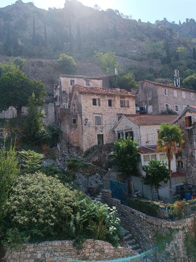 Guesthouse Bit Accommodation Kotor Kültér fotó