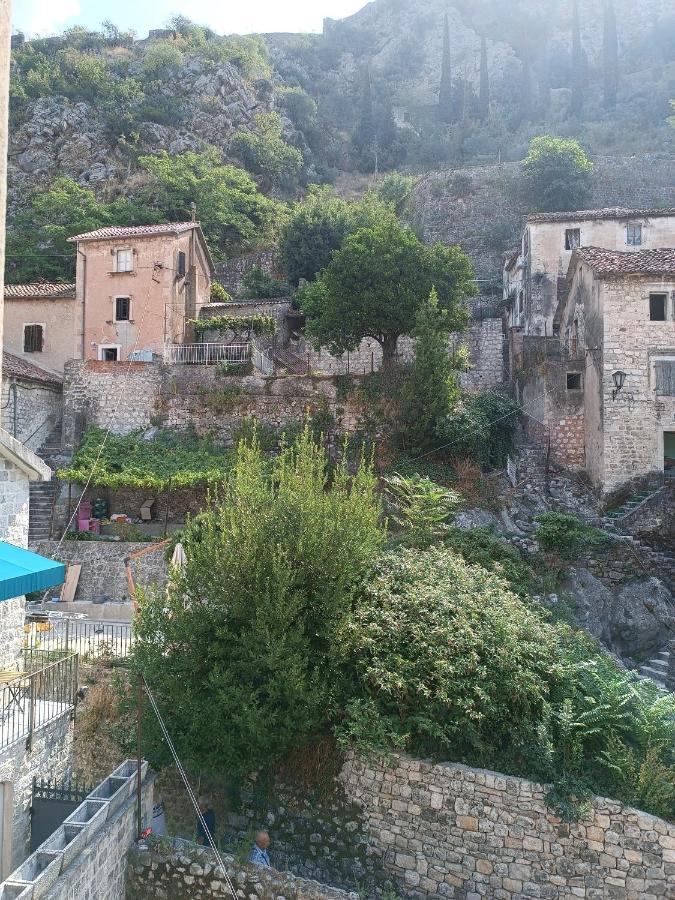 Guesthouse Bit Accommodation Kotor Kültér fotó